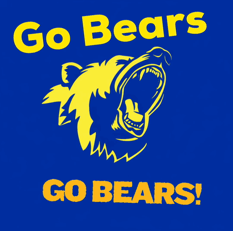 Yellow Bear On Blue Background Saying Go Bears GIF