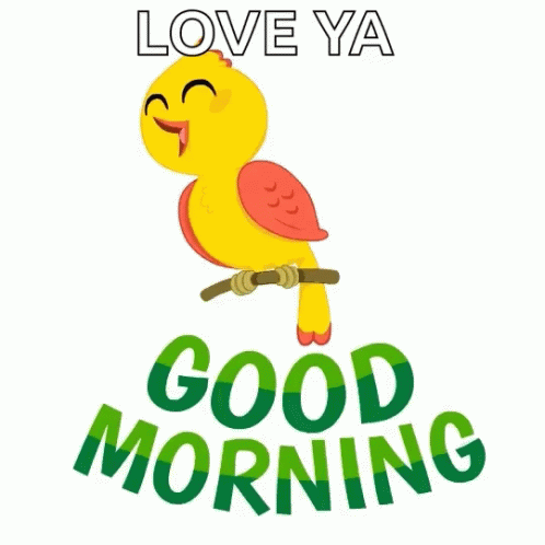 Yellow Bird Sitting On Branch Love Ya Good Morning GIF