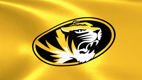 Yellow Black Tiger Head