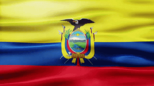 Yellow Blue Red Flag Saying Ecuador GIF