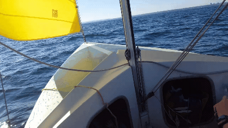 Yellow Boat Sailing Ocean GIF