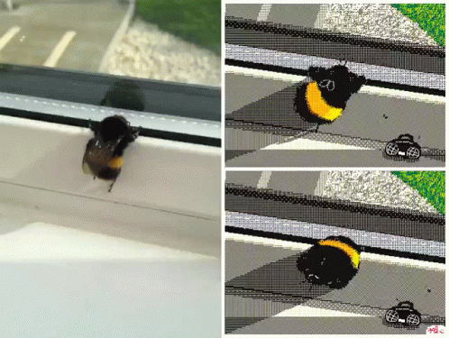 Yellow Bumblebee Booty Dancing GIF