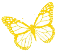 Yellow Butterfly With White Dots