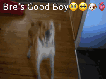 Yellow Cartoon Saying Yes Mommy Im a Good Boy