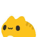 Yellow Cat with Black Eyes