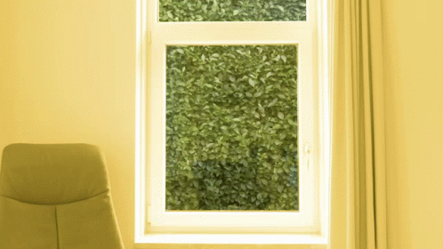 Yellow Chair in Front of Window with Bush