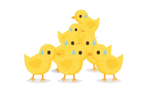 Yellow Chickens Crying