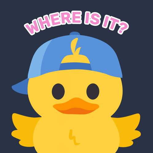 Yellow Duck In Blue Hat Saying Where Is It GIF