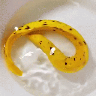 Yellow Eel Banana Skin GIF