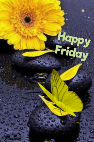 Yellow Flower and Butterflies Happy Friday
