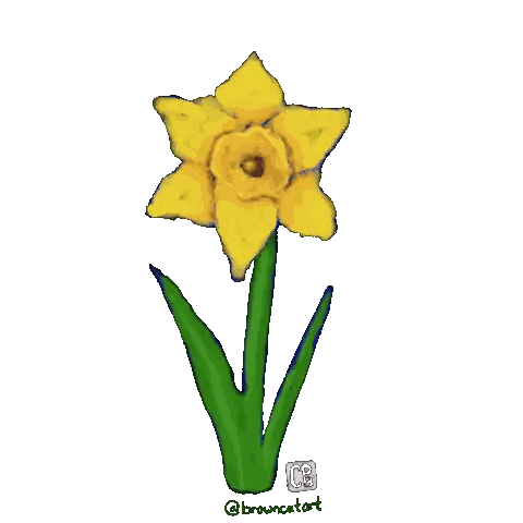 Yellow Flower with Alegras Mi Dia