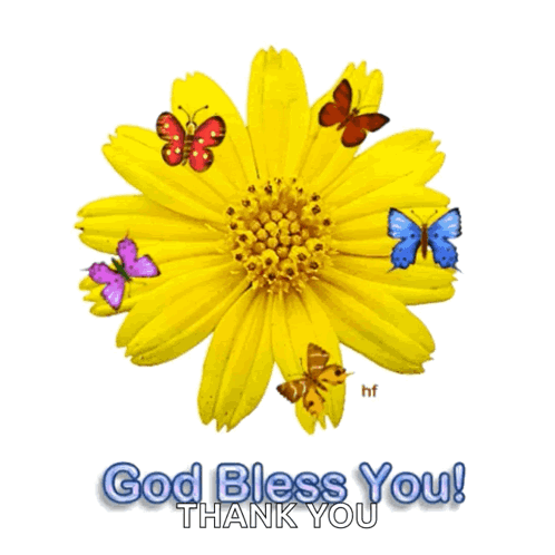 Yellow Flower With Butterflies Saying God Bless You