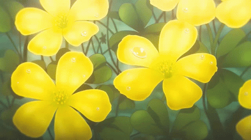 Yellow Flowers on Green