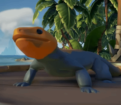 Yellow-Headed Lizard Standing on Beach
