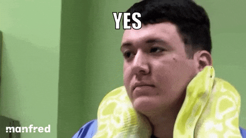 Yellow Python Crawling On Man's Head GIF