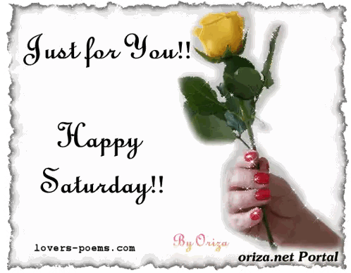 Yellow Rose Greeting Card Happy Saturday