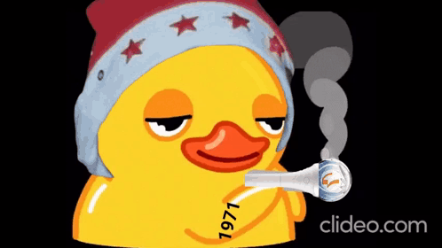 Yellow Rubber Duck Smoking Pipe 1971 GIF