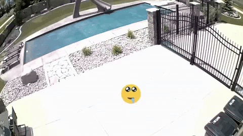 Yellow Smiley Face In Front Of Fence And Pool GIF