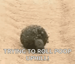 Yellow Smiley Face Saying I Like This Guy GIF