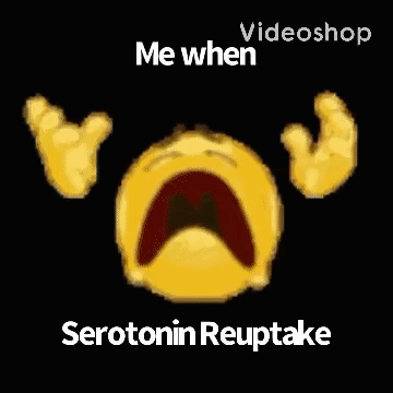 Yellow Smiley Face Saying Videoshop Me When Serotonin Reuptake GIF