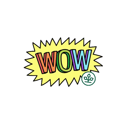 Yellow Speech Bubble Saying Wow