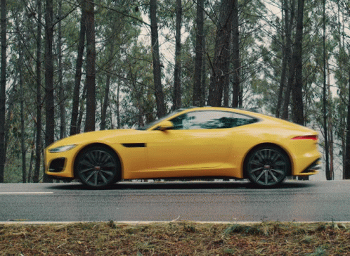 Yellow Sports Car Driving Down Road