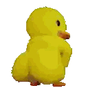 Yellow Stuffed Animal Standing
