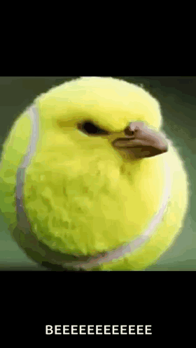 Yellow Tennis Ball With Bird Shaped Head
