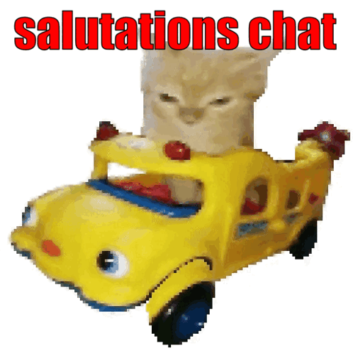 Yellow Toy Bus With Cat Saying Salutations Chat