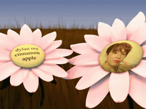 Yeonjae Dylan In Blooming Flower Apple GIF