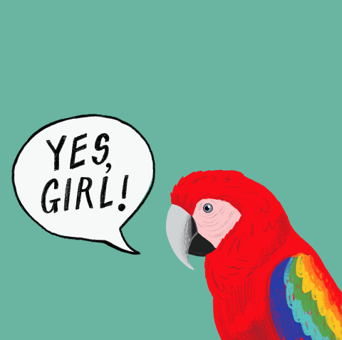 Yes Girl Animated Parrot GIF