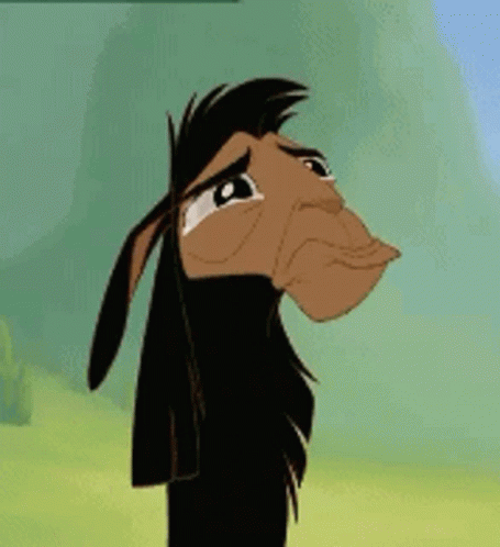 Yes Llama GIF