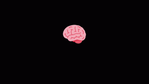 Yes No Brain Sliced GIF