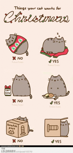Yes No Checklist GIF