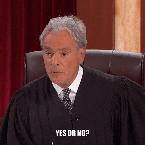 Yes Or No Judge Michael Corriero GIF