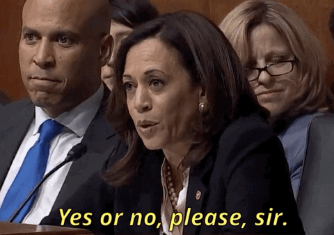 Yes Or No Kamala Harris GIF