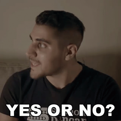 Yes Or No Rudy Ayoub GIF