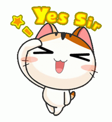 Yes Sir Cartoon Cat Salutes GIF