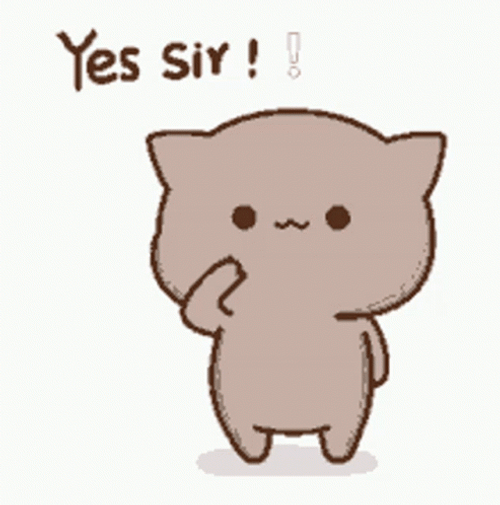 Yes Sir Cat Goma Salute GIF