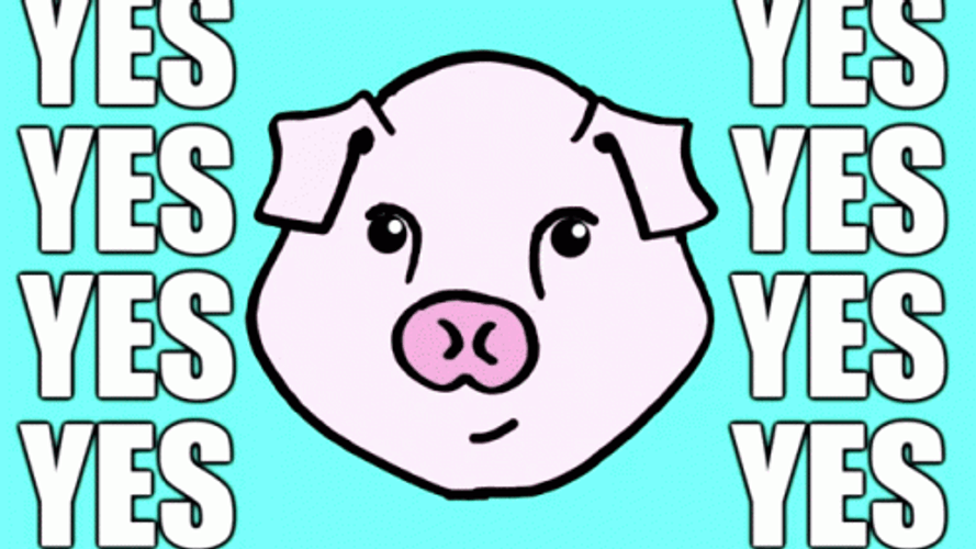 Yes Yes Funny Pig GIF