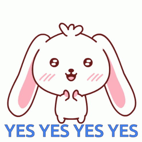 Yes Yes Yes Yes Cute Bunny GIF