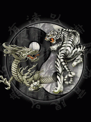 Yin Yang Dragon And Tiger Fight GIF
