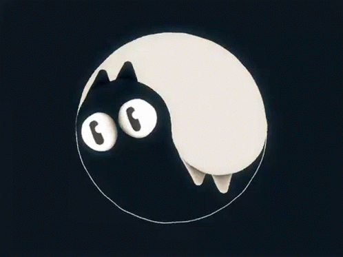Yin Yang Spinning Cats Big Eyes GIF