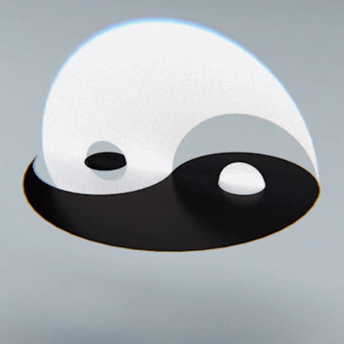 Yin Yang Trying To Connect GIF