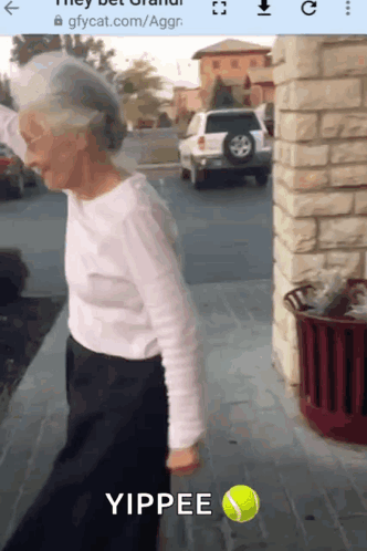 Yipee Grandma Dancing GIF