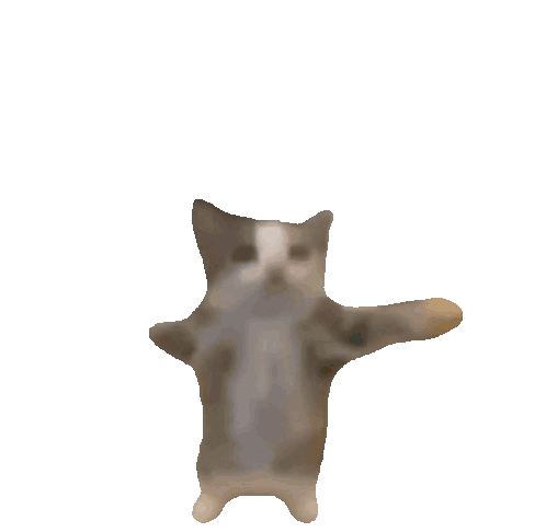 Yipee Yayyyy Cat Clapping GIF