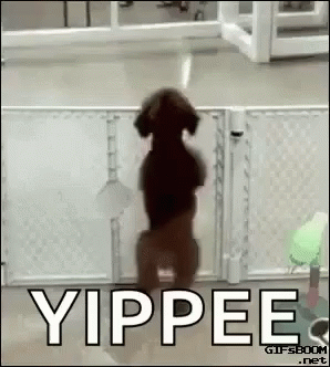 Yippee Happy Dog GIF