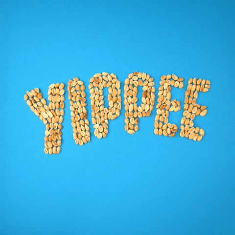 Yippee Text Effect GIF