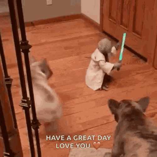 Yoda Have A Great Day GIF