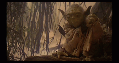 Yoda If I Had Your Giant Feet GIF